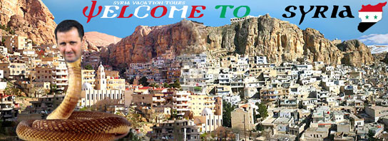 Syria tourism down to zero